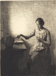 Finferli
