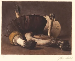 Fungo Giallo