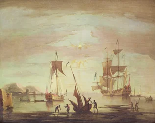 Immagine sconosciuta