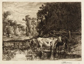 (Sul Neshaminy)