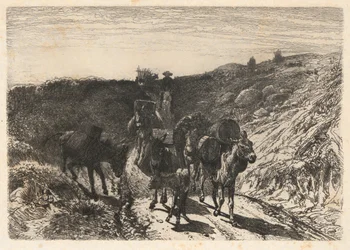 Treno di asini, Nuovo Messico