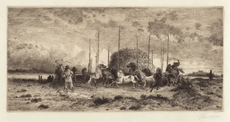 Raccolto a San Juan, Nuovo Messico