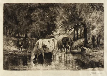 La piscina