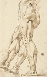 Studio di un écorché delle gambe di un nudo maschile, con uno studio sussidiario della gamba destra