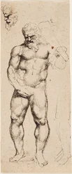 Ercole