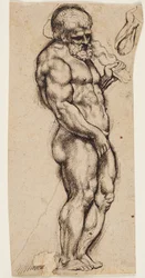 Ercole