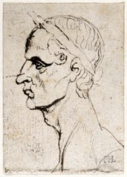 Giulio Cesare, da dieci disegni di otto dei primi dodici Cesari, dopo le medaglie di Giovanni da Cavino