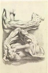 Muscoli