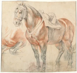 Cavallo sellato, c. 1616-1618