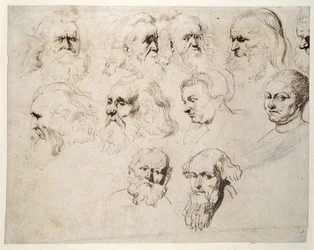 Sette studi della testa di un uomo anziano con barba, con altri due di teste di uomini diversi e due di una donna, una con cappello, c.1616