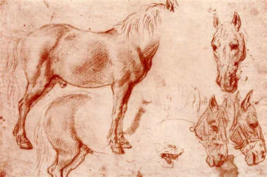 Studi di cavalli, 1913