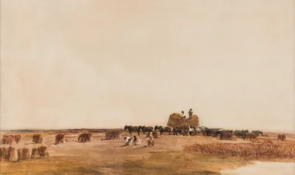 Tempo di raccolta, data sconosciuta