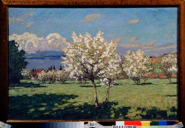 I ciliegi in fiore. Dipinto di Pyotr Ivanovich Petrovichev (1874-1947), olio su tela