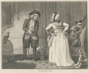 La Bisbetica e il Pappagallo