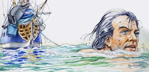 I viaggi di Gulliver, da 