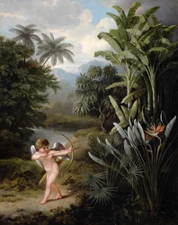 Cupido che ispira amore alle piante, dipinto per il libro di Robert Thornton "Nuova illustrazione del sistema sessuale di Linneo", 1797 ca.