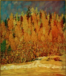 Bosco autunnale