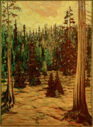 Bosco estivo