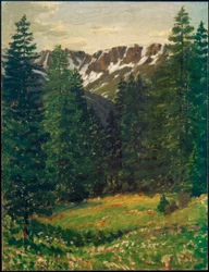 Paesaggio boschivo, (Paesaggio)