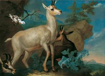 Tre camosci e un merlo