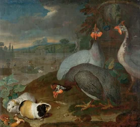 Faraone con porcellino d