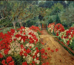 Sentiero del giardino con aiuola di flox