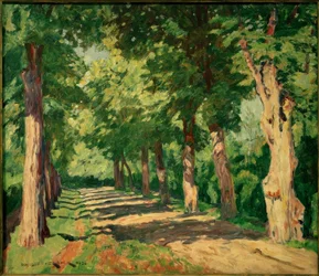 Viale dei tigli