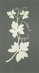 Pianta di luppolo