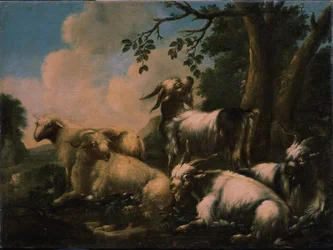 Riposo del gregge