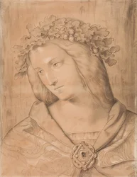 Germania, busto, studio per l