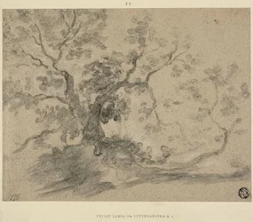 Alberi