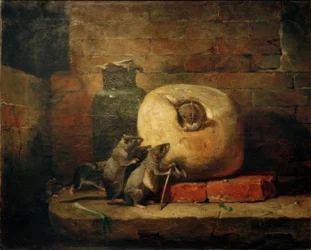 Il topo che si ritirò dal mondo