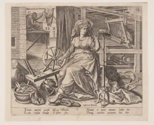 Aracne, da Le occupazioni