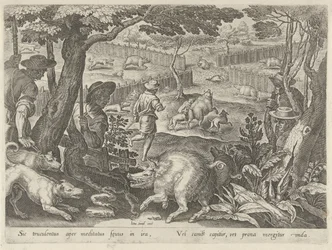 Caccia al cinghiale