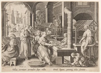 Svolgimento dei bozzoli