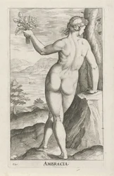 Ninfa dell