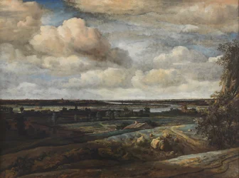 Paesaggio panoramico olandese con una vista lontana di Haarlem