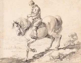 Un cavaliere attraversa un ruscello con il suo cavallo
