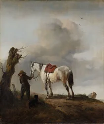 Il cavallo grigio