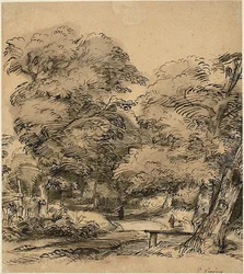 Un sentiero nel bosco