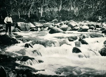 Rapide di trote nel fiume Snowy, Jindabyne, Nuovo Galles del Sud, c.1900, da Under the Southern Cross - Glimpses of Australia, pubblicato dal Department of External Affairs, Melbourne