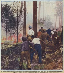 Contadini e soldati che combattono un incendio nella Foresta Nera, Germania