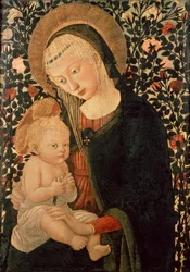 Immagine sconosciuta