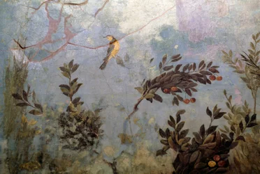 Uccello, (dettaglio) da un affresco che raffigura un giardino con alberi e uccelli, dalla Casa di Livia sul Palatino, Roma, Italia. Civiltà romana