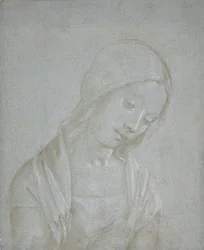 Busto di una giovane donna, ca. 1495
