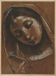 Testa della Vergine
