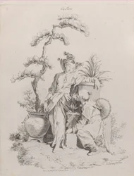 Terra, dai Quattro Elementi