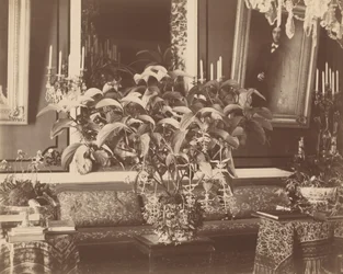 Interno, anni 