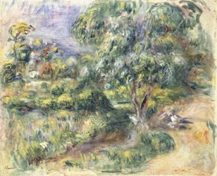 Beal, 1905