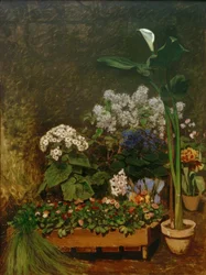 La serra